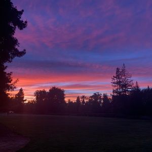 Meet your Posher, Joyce